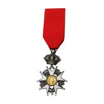 Istorinių garbės legiono kolekcionieriaus medaliai Napoleono įkvėptas dizainas Aukščiausios kokybės lydinio konstrukcija 3 metalinės apdailos red