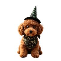 Pet Halloween Costume Set with Hat and Bandana for Dogs Cats One Size juoda