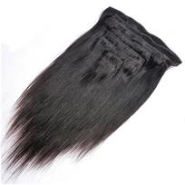 EB  Top Natural Silky Straight Remy Blonde Brown 100% Brazilian Human Clip-in Extensions for White Women 10 inches,  50g
