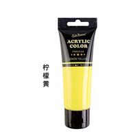 75ml Acrylic Paint Tubes Waterproof Wall Art & Graffiti Supplies for Kids Non-Toxic Craft 75ml