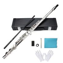 Seika C Key Flute Set for Beginners and Advanced Premium Cupronickel for Music Lovers 16-Hole Players, Plated,