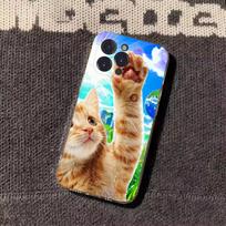 Frutiger Aero Art  Phone Case For iPhone17 16 15 14 13 12 11 Pro Xs Max Mini Plus Antislip Shockproof Hard iPhone12PRO