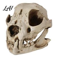 One-piece Dog Skull Replica Ornament Distressed Resin Halloween Decoration Lifelike Texture Decor for Desktop Fish Tank Film Props Collectible Gift