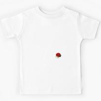 ladybug Kids T-Shirt 170