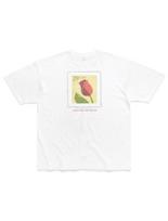 Bonrow Tulip Tee 3