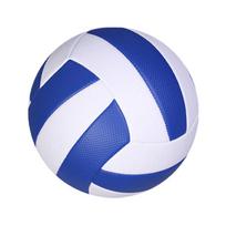 WEZHO Training Volleyball 5