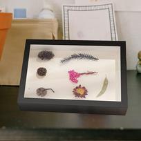 Creative Shadow Box Frame for Special Moments White white