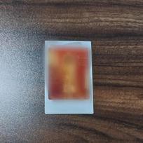 GIRLS GENERATION Tiffany Young Polaroid