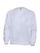 Dynafit [Muscle Fit Gym Wear] Endure Sweatshirt_Light Grey Light Grey/05(M)