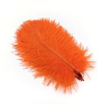 10 vnt. stručio plunksnų plunksnelės „pasidaryk pats“ valgomojo stalo puošmenos centrinės dalys Papuošalų gamyba Vestuvių rankdarbiai 15-20cm-6-8inch