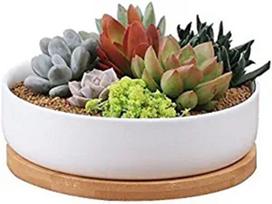 Dropship Succulent Planter Ceramic With Bamboo Tray 6.3 Inch Modern White Ceramic Round Design for Succulent Planter Cactus Pots (White,6.3inch) balta