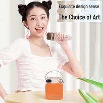 Edifier PP203 Portable Bluetooth KTV Speaker