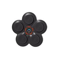 Smart Music Boxing Target Electronic Boxing Machine Children’s Boxing Training Equipment Home Kids Fighting Boxing Wall Target Machine