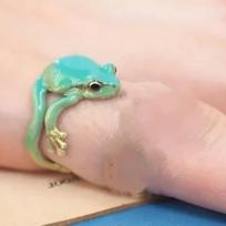 Green Frog Ring Opening Adjustable mėlyna
