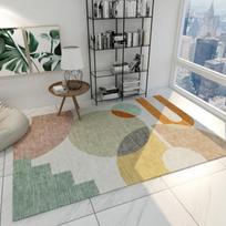 Bedroom Living Room Carpet Large Area Sofa Coffee Table Carpet Thickened Anti Slip Carpet 80cm×120cm