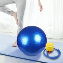 Balance Ball Chair Exercise with Pump Anti Burst Slip Resistant Heavy Duty Stability Yoga 55cm Blue