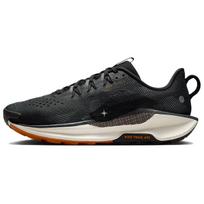 Nike Pegasus Trail 5 Juoda Karališka Vyriški Bėgimo Bateliai Šviesiai Dramblio Kaulo Spalvos Off-Noir DV3864-006 40.5