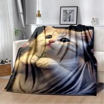 Cartoon Cute Calico Cat,Garfield Cat,Persian Cat,Ragdoll Blanket,Soft Throw Blanket for Home Bedroom Bed Sofa Cover Blanket Kids Size: 75*100cm, Weight: 230 GSM