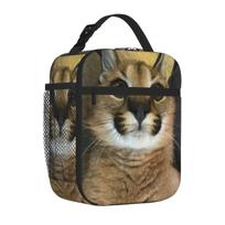 Bestselling Floppa Cute Memet 2021 Breathable Design Student Lunch Bag Beach Outing Picnic Lunch Bag One Size