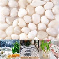 300g (15-20Pcs) 2-3cm White Pebbles Natural  High Polished Potted Fish Tank Decorative Stone Garden Landscape Decoration Pebbles 300g 2-3cm