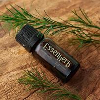 Tea Tree 100 Oil 10ml