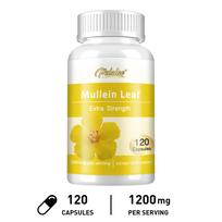 Verbena Leaf Capsules, Respiratory Support, Verbena Plant Extract, Lung Comfort, Suitable for Adults 120