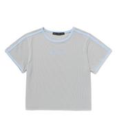 Andy Other Crewneck Ringer Crop Short Sleeve T-Shirt Gray Gray/F