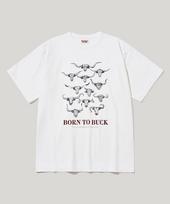 Rustic Club Rc Texas Longhorn T-Shirt Off White/S