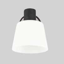 Sieninis šviestuvas Candellux Biloba, juodos spalvos apdaila, balto stiklo gaubtas