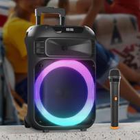 Philips SD189 Outdoor Bluetooth Trolley Speaker CN plug (adapter included)