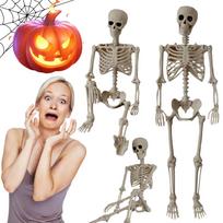 Halloween Human Skeleton Decoration 53 Inch, Full Body Skeleton with Adjustable Joints for Scary Yard Decoration, Poseable Halloween Prop One Size balta