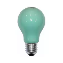 Scharnberger 40246 Kaitrinė Lemputė 25W Žalia B60x105mm E27 240V