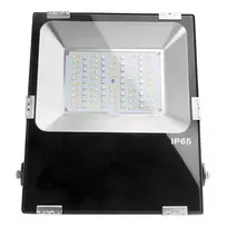 SYNERGY21 LED prožektorius 50W RGB-WW RGB-CCT IP65 230V