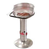 Barbecook Loewy 50 SST anglies kepsninė, 51,5 x 56 x 99 cm, sidabrinė