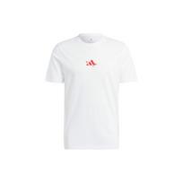 Adidas Aeroready Roland Garros Tee Dry Fit Tennis Short Sleeve T-Shirt Men Tops White HT5227 M