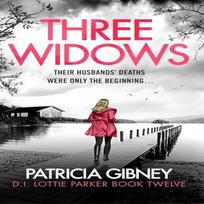 Three Widows by Patricia Gibney Paperback Book 9781836186533