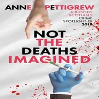 Not the Deaths Imagined by Anne Pettigrew Paperback Book 9781914399695