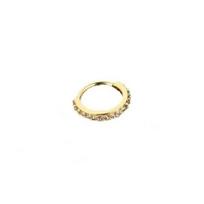 Punk Cartilage Helix Piercing Earring Hypoallergenic Body Jewelry  Travelling Memorial 10mm auksas