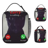 Evil Larry Cat Dank Brainrot Meme Lunch Bag Kawaii Lunch Box Office Portable Tote Food Bags For Girls Oxford Designer Cooler Bag One Size