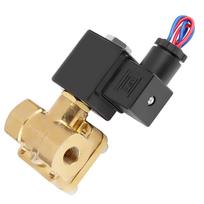 110VAC G1 4   1.6MPA 2 Way N C Diaphragm Electric Solenoid Valve (110VAC)