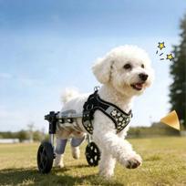 Pet Dog Wheelchair Cart Adjustable Pet Mobility Aid with Wheels Disabled Cat Dog Rehabilitation Walking Mobility Aid Pet Bracket S--8-14.5kg