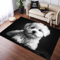 Cute White Maltese Puppy Portrait Area Rug, Non-Slip Floor Mat 40x60cm( 15x23in )