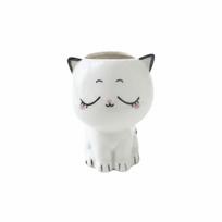 Lovely Face Cat Flower Pot Desktop Ornaments Mini Plants Pot DIY Pot Ceramic Flowerpot  Home Decor Shy