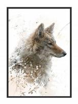Obraz plakat w ramie 43x33 cm wilk p704
