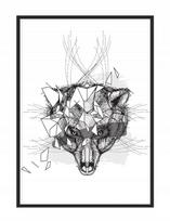 Obraz plakat w ramie 53x73 cm wilk p1089