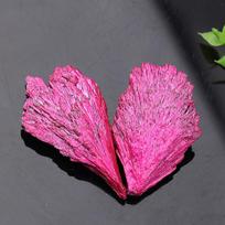 Natural Multicolor Rough 10-30g Rose Red Peacock Feather for Jewelry Making One Size karšta rožinė spalva