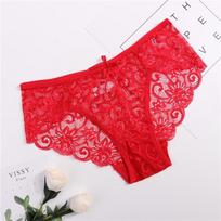 Embroidered Lace Panties Transparent Sexy Low Waist Underwear Ladies Girls Soft Breathable Briefs S