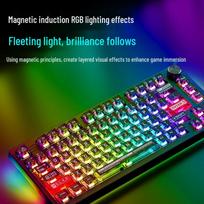 Dareu EK75 RT Wired Magnetic Switch Gaming Keyboard