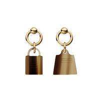 Hermes Buffalo Horn Brass Earrings Women Earrings H057003FD00 One Size