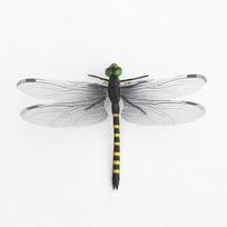 Lifelike Simulation Dragonfly Insect Model 3D Dragonfly Garden cor  Outdoor Hanging Ornament A-Small žalia